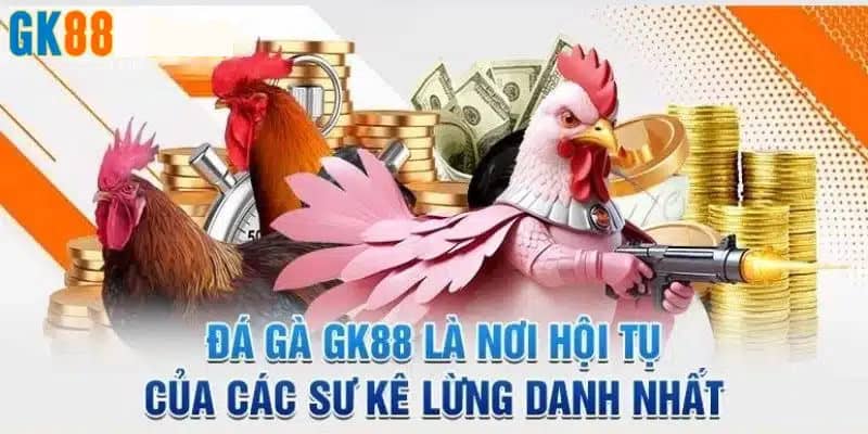 Gợi ý những hình thức đấu chọi kê đang được yêu thích tại GK88